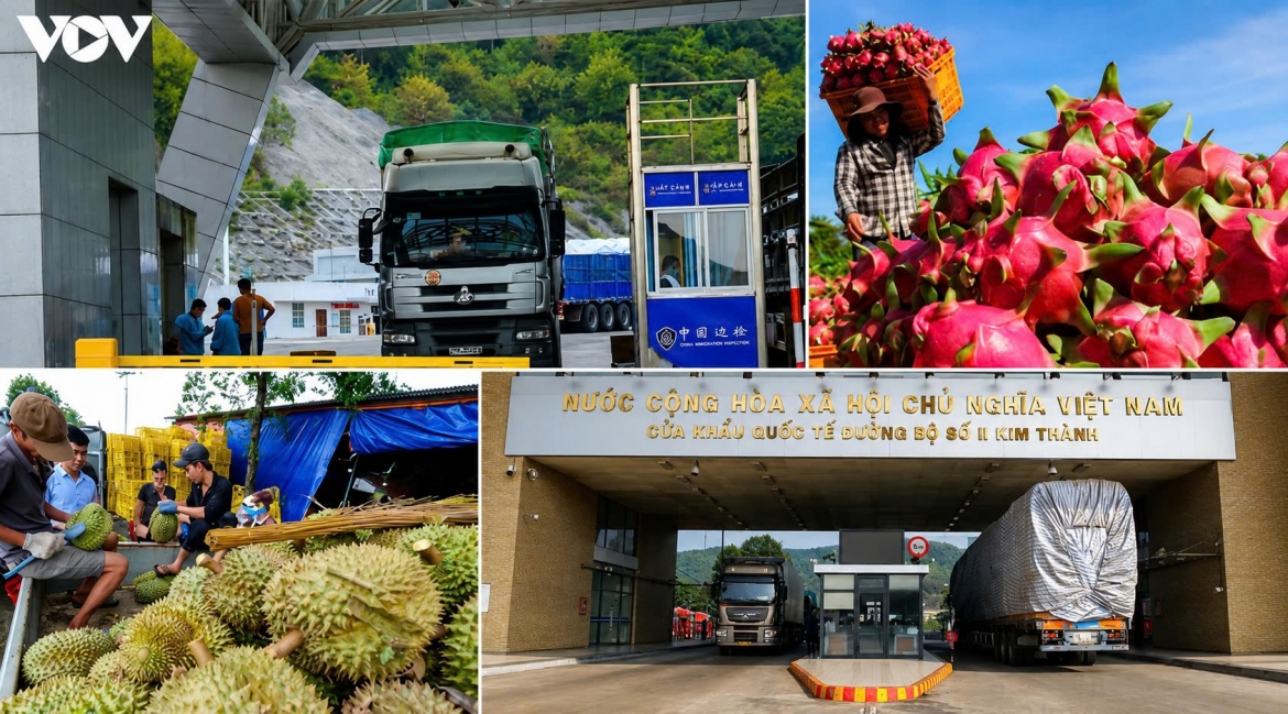 Vietnam and China see strong potential for agricultural trade growth, but experts say improvements in standards, traceability, logistics and cross-border payments are essential