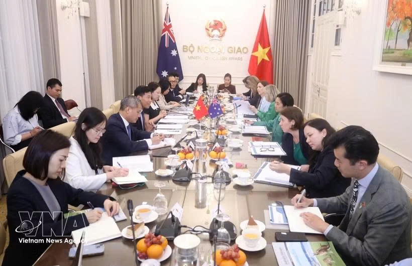 Delegates at the second Vietnam–Australia Senior Officials' Dialogue in Hanoi on June 11 (Photo: VNA)