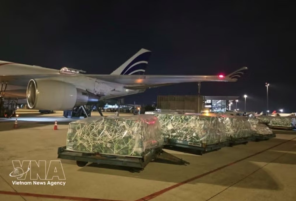 Vietnam's fresh fruits and vegetables exported to the UAE in April (Illustrative photo: VNA)