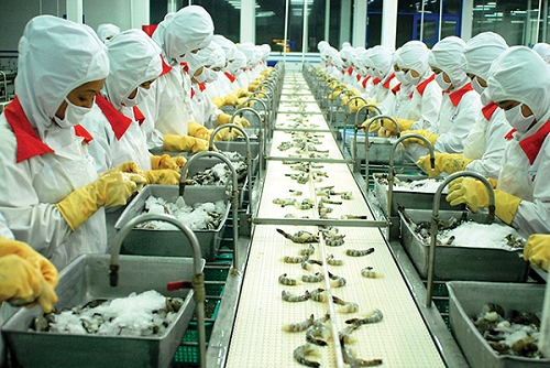 Shrimp exports to China rise sharply during the past five months of 2026 (Photo: Illustrative image)