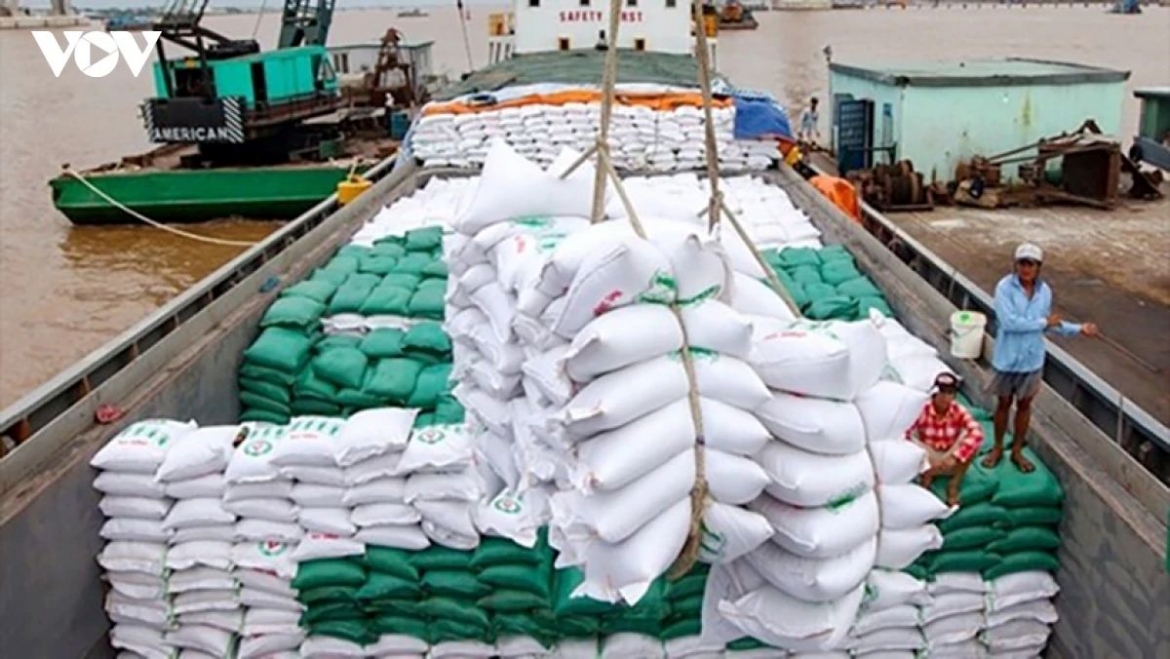 Vietnamese rice, especially fragrant rice, has been exported to many demanding markets, including the European Union. (Illustrative image)