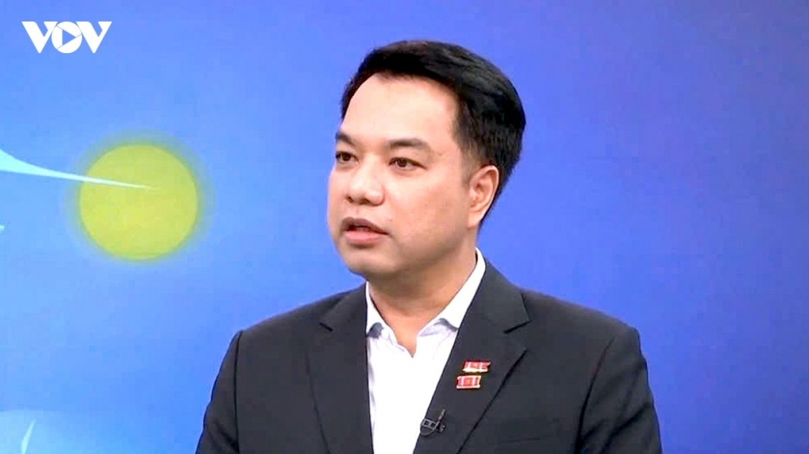 Assoc. Prof. Dr. Mac Quoc Anh, vice chairman of the Hanoi Small and Medium Enterprises Association (HanoiSME) says institutional reform is key to attracting strategic foreign investors