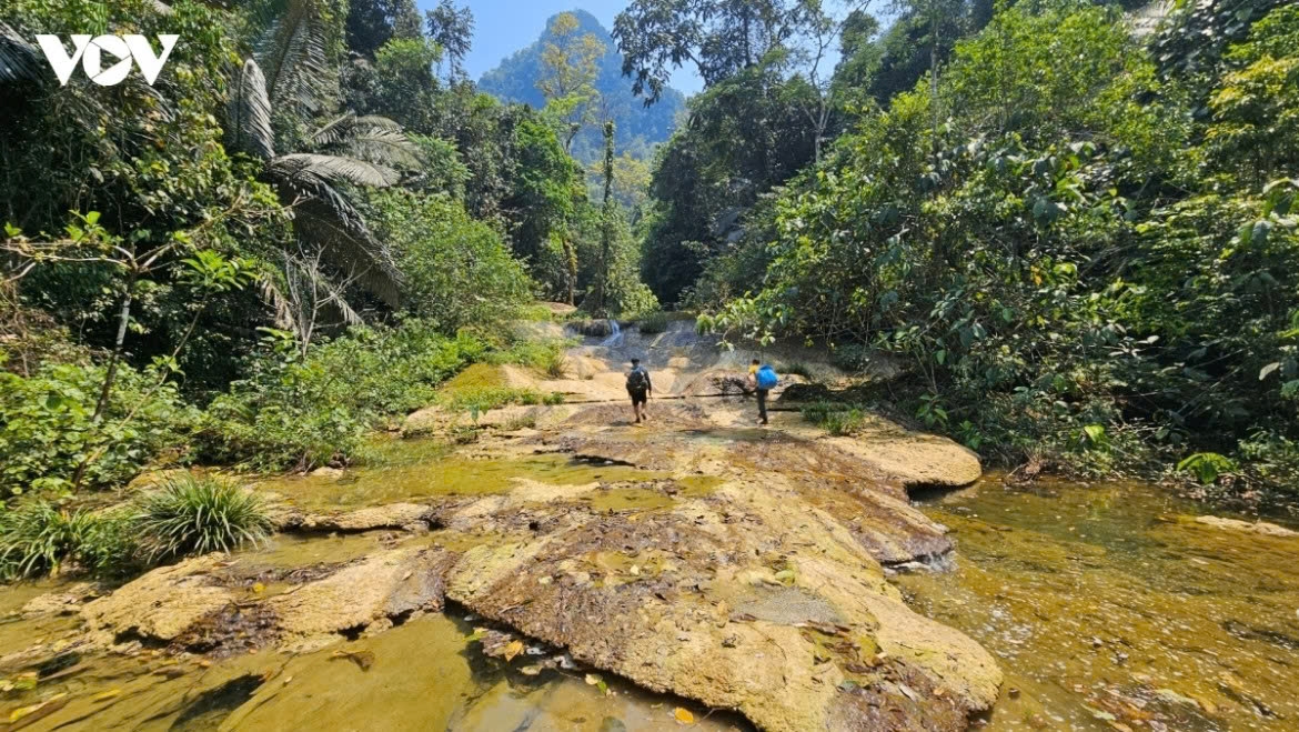 Phong Nha-Ke Bang National Park, home to one of Asia's oldest and largest karst formations, is among 14 new biosphere reserves added to UNESCO's World Network of Biosphere Reserves. The park features vast tropical forests, limestone mountains and ancient cave systems, providing habitat for nearly 3,000 plant and animal species, including many endemic to Vietnam.