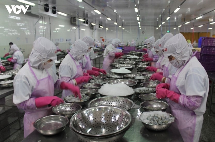 China becomes largest buyer of Vietnamese seafood