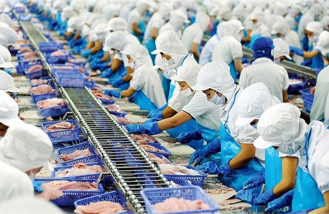 Vietnam's seafood exports grow 12.8% in the first half of 2026, driven by strong demand from mainland China and Hong Kong. (Illustrative image)