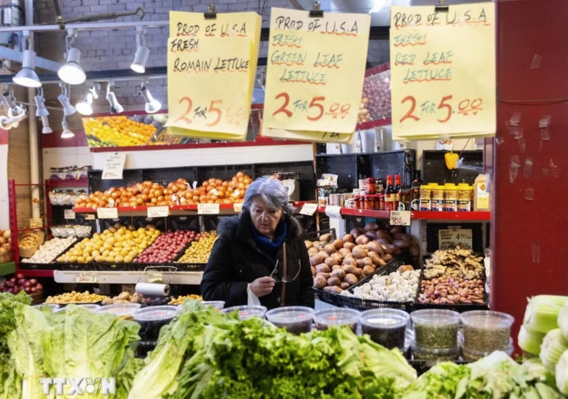  At a supermarket in Toronto, Canada. (Illustrative Photo: Xinhua/VNA)