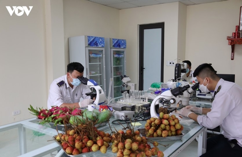 Vietnam works to sustain agricultural exports to the Middle East amid trade headwinds.