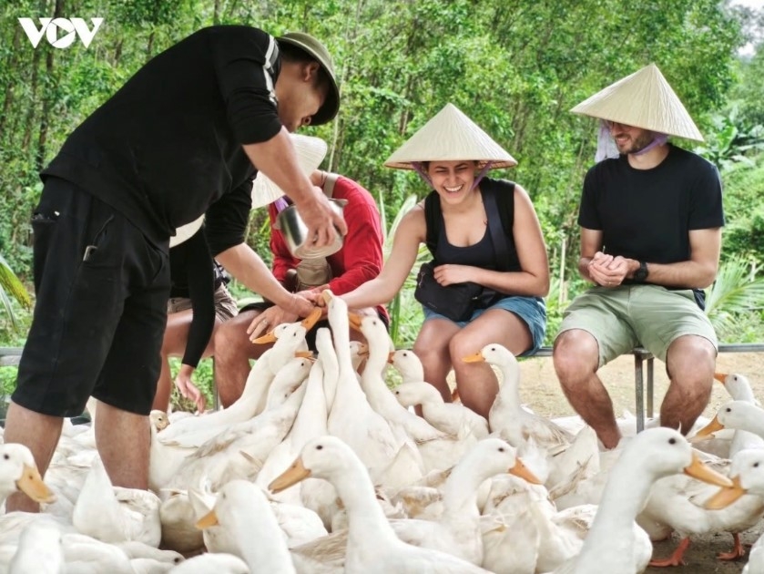Vietnam sees 15% jump in international visitors during first half of 2026.