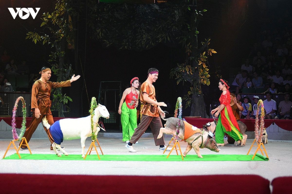Alongside the main thematic performances, the animal circus acts are particularly popular with younger audiences.