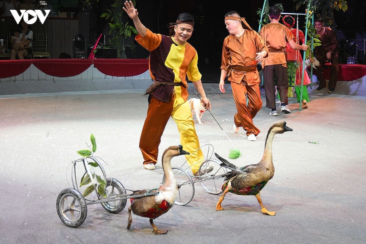 The appearance of the show’s unusual “performers” on stage is always greeted with enthusiastic applause from the audience.