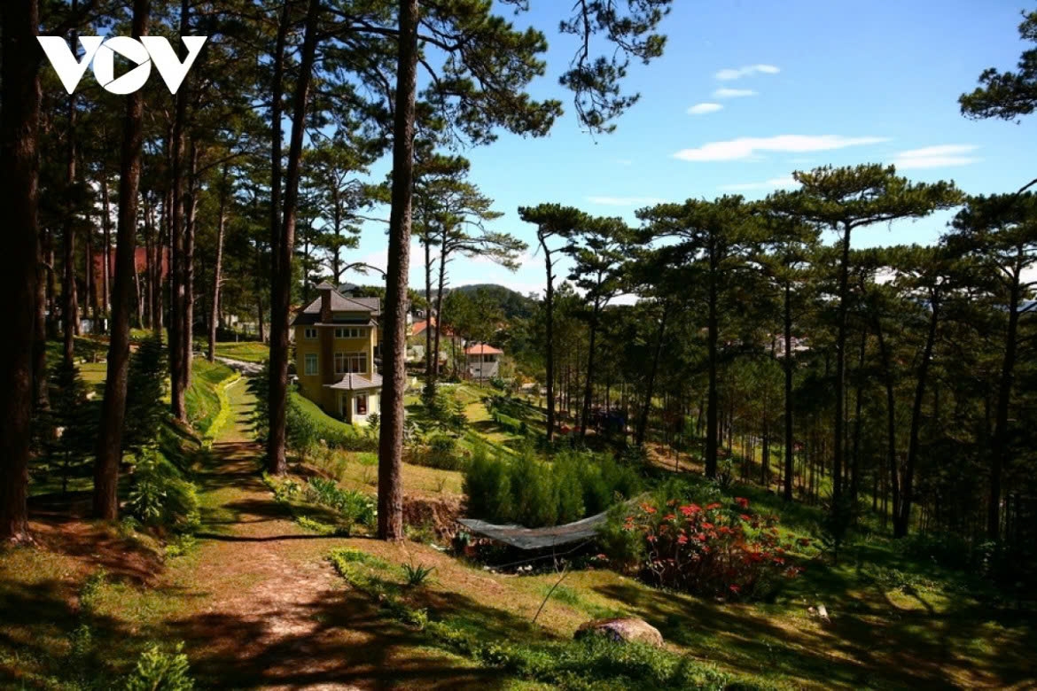 In the Central Highlands province of Lam Dong, Da Lat is an ideal destination for escaping the summer heat. Known as the city of thousands of flowers, it attracts visitors with its cool climate, vibrant seasonal blooms and peaceful scenery.