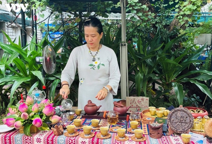 Presenting the art of brewing and enjoying Vietnamese tea
