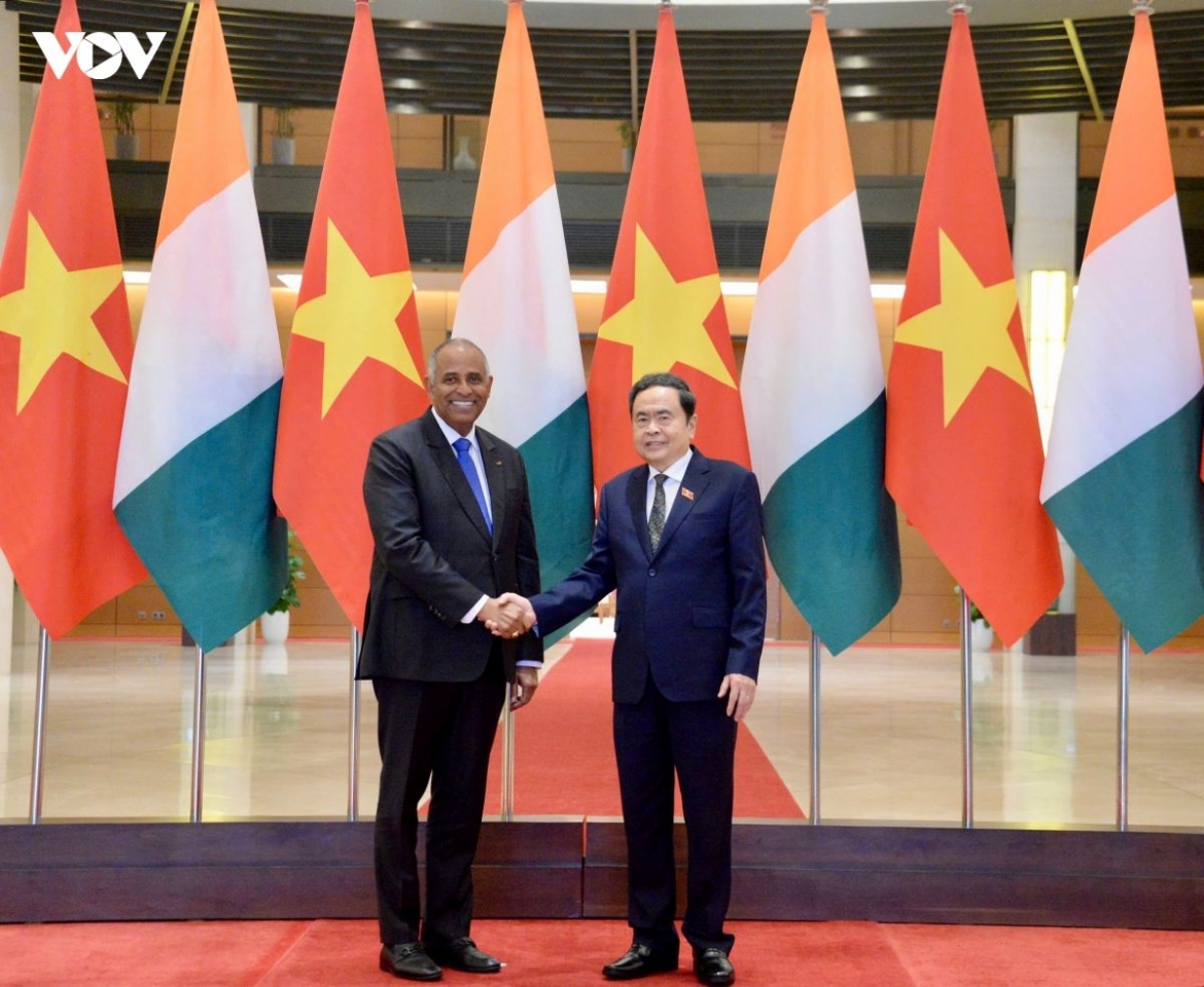 Vietnamese National Asembly President Tran Thanh Man (R) and Ivorian National Asembly President Patrick Achi shake hands ahead ò their talks in Hanoi on August 23