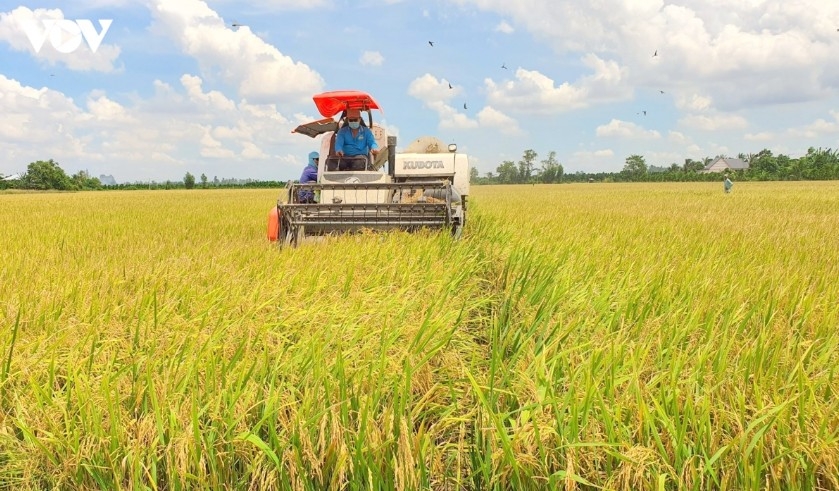 Policy reform creates momentum to develop agricultural production areas toward higher value addition.