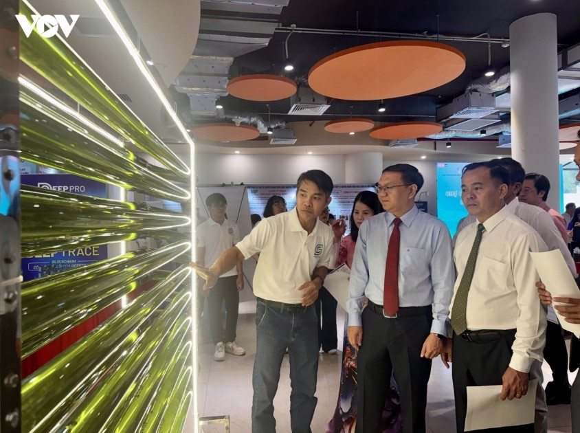 The State facilitates market creation for new sectors