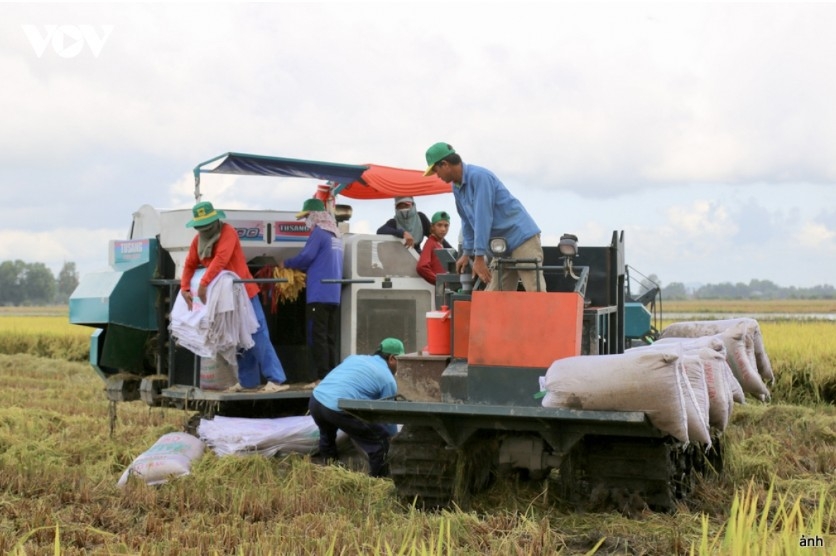 Vietnamese agriculture transitions from self-sufficiency to market-oriented commodity production.