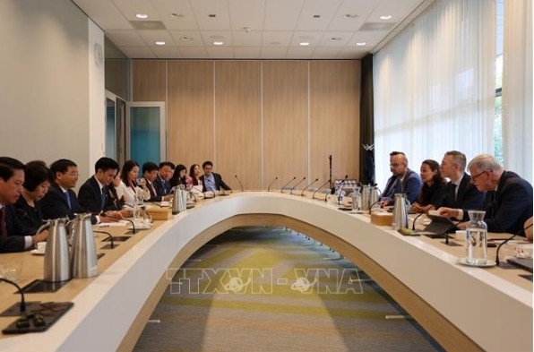 Vietnamese delegation works with Netherlands Authority for the Financial Markets (Photo: VNA)