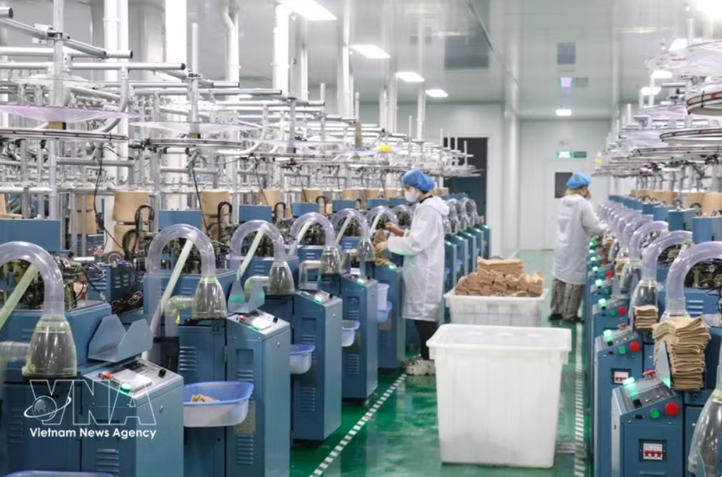 Production activities at an FDI enterprise in Tay Ninh province (Illustrative photo: VNA)