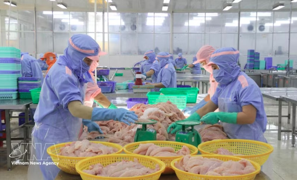 Workers process seafood for export. (Photo: VNA)