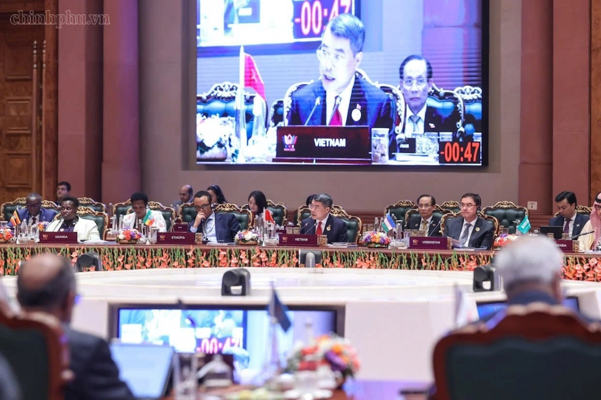 Vietnamese Prime Minister Le Minh Hung speaks at the 18 BRICS Summit in New Delhi, India