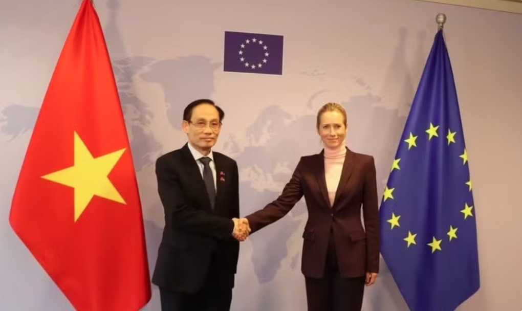 Vietnamese Minister of Foreign Affairs Le Hoai Trung (left) and European Commission Vice-President and EU High Representative for Foreign Affairs and Security Policy Kaja Kallas at their meeting in Brussels, Belgium, on October 21. (Photo: Vietnamese Ministry of Foreign Affairs)