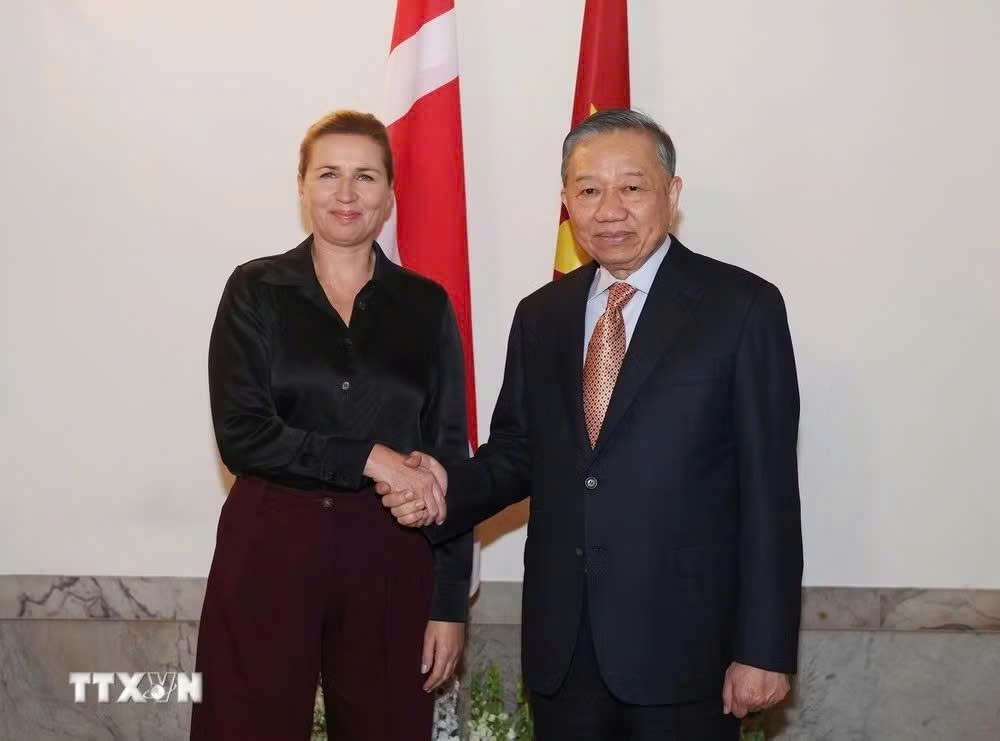 Party General Secretary and President To Lam holds talks with Danish Prime Minister Mette Frederiksen in Copenhagen on October 20.