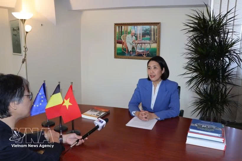 Vietnamese Ambassador to Belgium and Head of the Vietnamese Mission to the European Union Nguyen Huong Tra speaks in an interview with the VNA. (Photo: VNA)