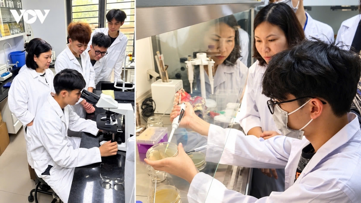 “The greatest strength of a talented person lies not only in what they create themselves, but also in their ability to help others grow,” according to Assoc. Prof. Dr. Bui Hoai Son, deputy head of the Party Central Committee’s Commission for Publicity